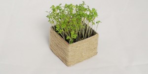 Beitragsbild des Blogbeitrags DIY Anleitung – Mini Garten für die Küche – Tetrapack Upcycling