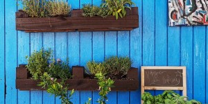 Beitragsbild des Blogbeitrags Kräutergarten aus einer Palette