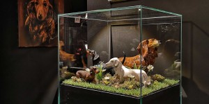 Beitragsbild des Blogbeitrags Dackel Museum: Einzigartig in der Welt *Werbung