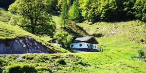 Beitragsbild des Blogbeitrags Bacheralm in Kirchdorf in Tirol – Bild des Monats im Juni 2019 