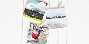 Beitragsbild des Blogbeitrags Bilderrahmen aus Ästen