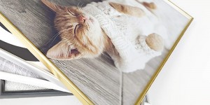 Beitragsbild des Blogbeitrags Interior-Design im Retro-Stil