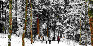 Beitragsbild des Blogbeitrags Schwarzsee Spaziergang – Bild des Monats im Jänner 2021