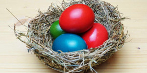 Beitragsbild des Blogbeitrags Osternest aus Heu 