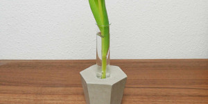 Beitragsbild des Blogbeitrags Beton-Vase mit Reagenzglas