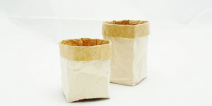 Beitragsbild des Blogbeitrags Tetrapack Behälter