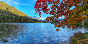 Beitragsbild des Blogbeitrags Herbstlicher Pillersee – Bild des Monats im Oktober 2021 