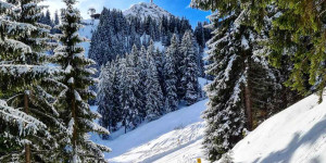 Beitragsbild des Blogbeitrags Skifahren am Harschbichl – Bild des Monats im Februar 2022