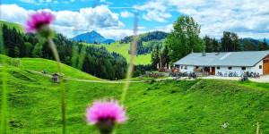 Beitragsbild des Blogbeitrags Huberalm in Erpfendorf – Bild des Monats im Mai 2022