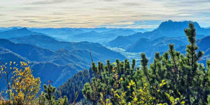 Beitragsbild des Blogbeitrags Herbstmomente auf der Steinplatte – Bild des Monats im Oktober 2022