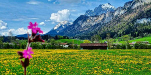 Beitragsbild des Blogbeitrags Frühling am Wilden Kaiser – Bild des Monats im Mai 2023 