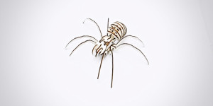 Beitragsbild des Blogbeitrags Spinne 3D-Modell
