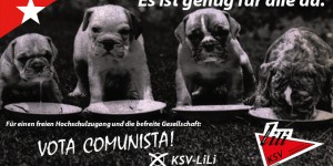 Beitragsbild des Blogbeitrags ÖH-Wahlen: KSV-LiLi