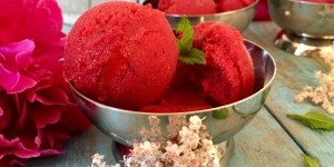 Beitragsbild des Blogbeitrags TASTY FRIDAY: Beeren-Sorbet à la Gelateria di Berna 