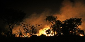 Beitragsbild des Blogbeitrags 403 ppm – CO2-Konzentration in der Atmosphäre erreicht neue Rekordwerte