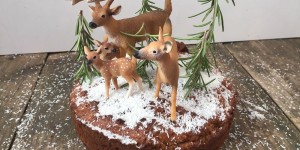 Beitragsbild des Blogbeitrags TASTY FRIDAY: Weihnachtskuchen 