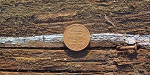 Beitragsbild des Blogbeitrags Eine Wahl in den USA wird mit einem Münzwurf entschieden – TopEasy (21.12.) 