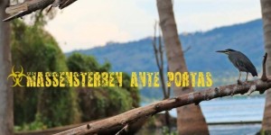 Beitragsbild des Blogbeitrags Massensterben ante portas