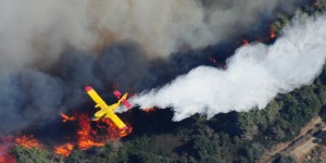 Beitragsbild des Blogbeitrags Bei Waldbränden in Griechenland starben mindestens 80 Menschen – TopEasy (25.07.) 