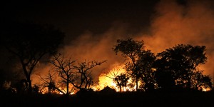 Beitragsbild des Blogbeitrags Klimawandel-Folgen bei Versicherungen angekommen, in der Politik noch nicht