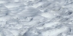 Beitragsbild des Blogbeitrags Schnee sorgt noch immer für Gefahr in vielen Orten in Österreich – Top Easy (14.01.) 