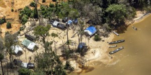 Beitragsbild des Blogbeitrags Bolsonaro:  „Regenwald ist eine Ware.“ Indigene rufen um Hilfe. 