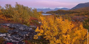 Beitragsbild des Blogbeitrags Noch mehr Methan aus dem Permafrost – Mikroorganismen beschleunigen Klimawandel 