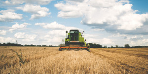 Beitragsbild des Blogbeitrags Die GAP: Was einer ökologischen und gerechteren Landwirtschaft im Wege steht