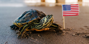 Beitragsbild des Blogbeitrags Biden und die Hoffnung auf eine neue Dynamik in der Klimapolitik