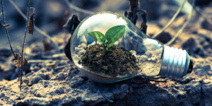Beitragsbild des Blogbeitrags 21 Möglichkeiten, 2021 etwas für die Umwelt zu tun