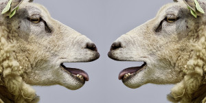 Beitragsbild des Blogbeitrags Ich habe recht