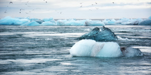 Beitragsbild des Blogbeitrags Biden leitet Rückkehr zum Pariser Klimaschutz-Abkommen ein – TopEasy aktuell 