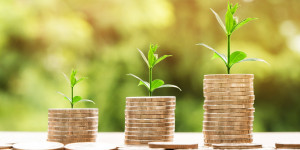 Beitragsbild des Blogbeitrags Green Finance: ein Trojanisches Pferd? 