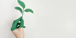 Beitragsbild des Blogbeitrags Es grünt so grün: Nachhaltigkeit als leeres Versprechen an KonsumentInnen 