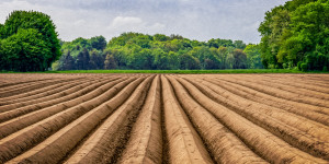 Beitragsbild des Blogbeitrags EU-Agrarpolitik: Wie die Ausbeutung in der Landwirtschaft verhindert werden könnte