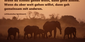 Beitragsbild des Blogbeitrags Schulstart für Unsere Zeitung