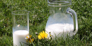 Beitragsbild des Blogbeitrags Die verrückte Welt der „Heumilch“