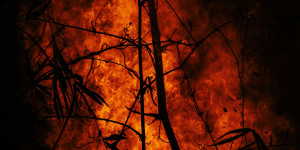 Beitragsbild des Blogbeitrags Waldbrände in Griechenland und Türkei außer Kontrolle – TopEasy aktuell 