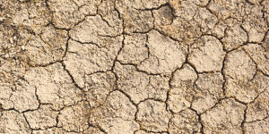 Beitragsbild des Blogbeitrags Die Erde wird sich bis 2030 um 1,5 Grad erwärmen – TopEasy aktuell