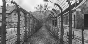 Beitragsbild des Blogbeitrags Der Hundertjährige, der vor Gericht steht