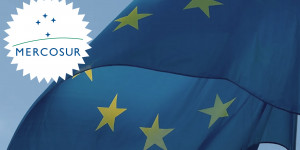 Beitragsbild des Blogbeitrags EU-Mercosur-Handelsabkommen: kaum ökonomische Vorteile, aber beträchtliche ökologische und soziale Risiken