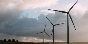 Beitragsbild des Blogbeitrags Entwaldung im Amazonas für den Green Deal in Europa