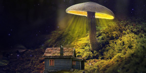 Beitragsbild des Blogbeitrags „Die Vision einer Öko-Utopie“