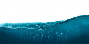 Beitragsbild des Blogbeitrags Weltwassertag: Dem Wasser auf den Grund gehen