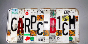 Beitragsbild des Blogbeitrags Carpe diem insane!