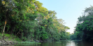 Beitragsbild des Blogbeitrags Peru: Indigene im Amazonasgebiet durch Drogenhandel gefährdet