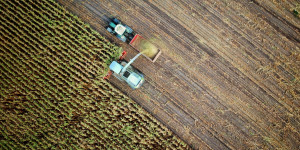 Beitragsbild des Blogbeitrags Klimawandel am Arbeitsmarkt: Ein Schulterschluss von Politik, Wirtschaft und Wissenschaft für eine klimaneutrale, humane Beschäftigungspolitik
