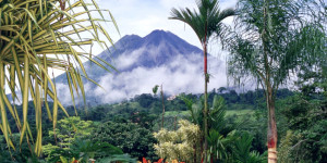 Beitragsbild des Blogbeitrags Costa Rica: Ein Land ertrinkt in Gift 