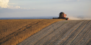 Beitragsbild des Blogbeitrags Scharfe Kritik: EU-Mercosur-Abkommen stellt wirtschaftliche Expansion über Umwelt und Menschenrechte