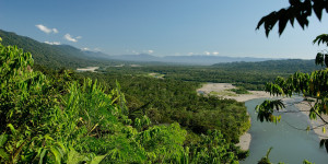 Beitragsbild des Blogbeitrags UN-Bericht warnt vor „Narko-Entwaldung“ im Amazonasgebiet 